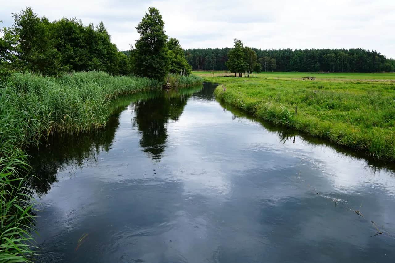 Spływy kajakowe pomorskie - odkryj najpiękniejsze trasy i przygody