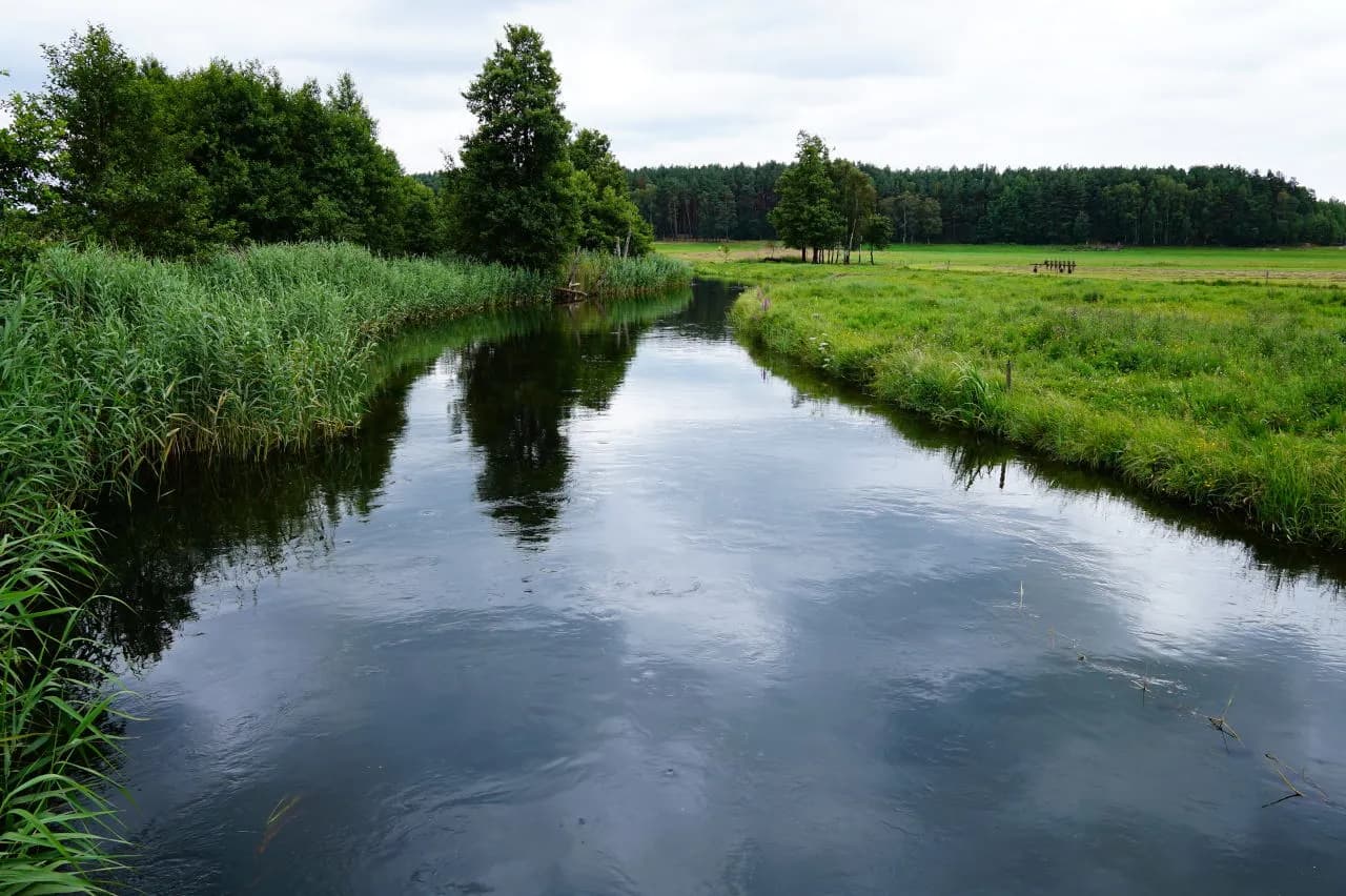 Spływy kajakowe pomorskie - odkryj najpiękniejsze trasy i przygody