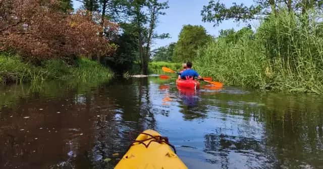 Gdzie na kajaki w Wielkopolsce? Odkryj najlepsze miejsca i trasy