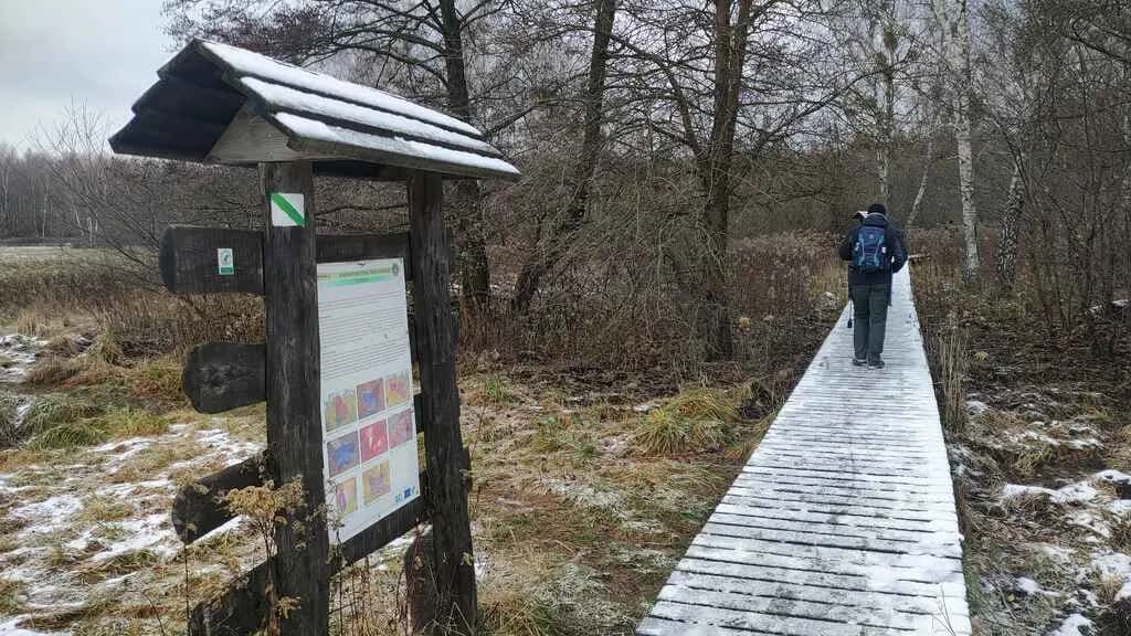Kampinos atrakcje: Odkryj ukryte skarby parku narodowego