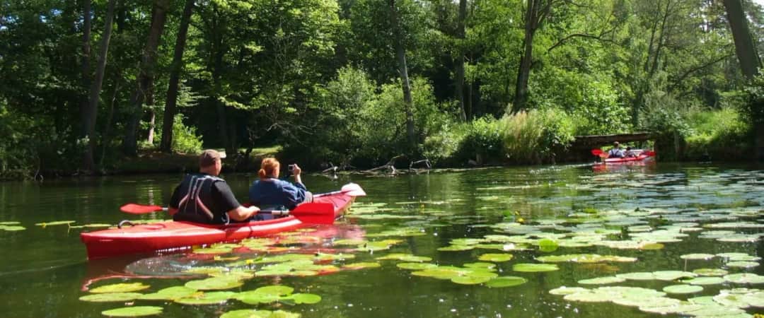 Najlepsze spływy kajakowe na Drwęcy - piękne trasy i atrakcje