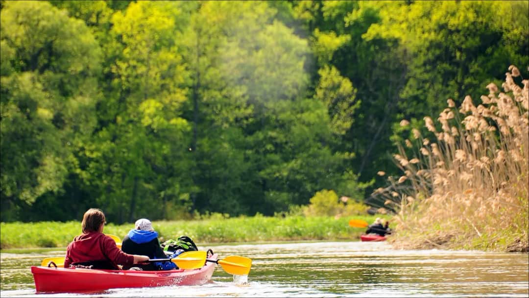 Ile kosztuje spływ kajakiem? Poznaj ceny i ukryte koszty!